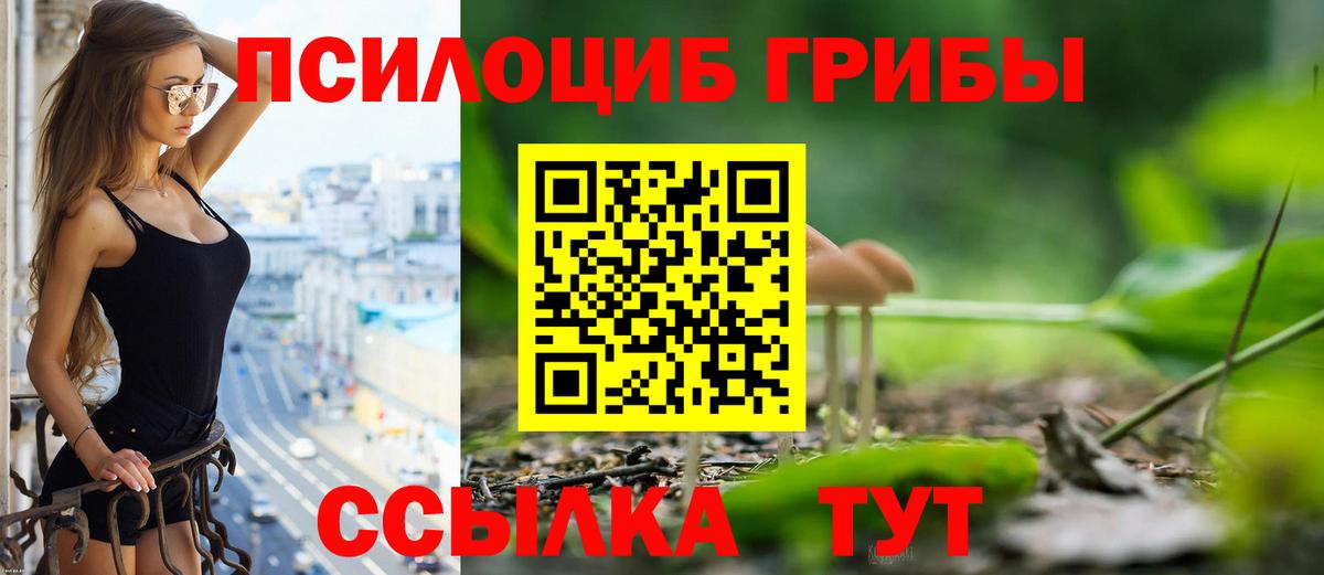 Галлюциногенные грибы Psilocybe  Галлюциногенные грибы Cubensis  Дальнереченск  Вход с VPN 